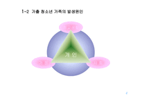 가출청소년 가족중심으로 바라본 비행청소년 가족의 서비스 현황과 개선방안-4
