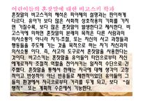 인지발달 비고스키의 사회문화이론-17