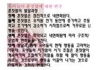 인지발달 비고스키의 사회문화이론-18