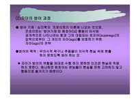 심리적 발생과정 과정 신분석적 상담의 과정과 방법-4
