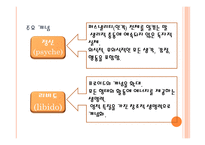 칼 융의 심리 역동적 이론-9