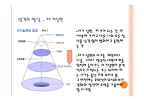 칼 융의 심리 역동적 이론-20