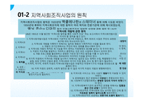 지역사회 복지 실천의 원칙과 과정-9