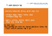 관광소비 자행 동의 환경적 요인 상황적 영향요인-3