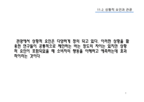 관광소비 자행 동의 환경적 요인 상황적 영향요인-8
