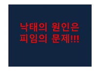 혼전동거 찬성 보고서-10