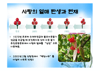 사회복지 공동모금회 경기도 사회복지 공동모금회-8