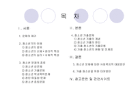 청소년 문제와 사회복지 보고서-2