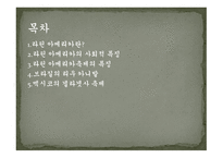 세계문화의 이해 라틴아메리카의 축제를 중점으로-2