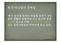 세계문화의 이해 라틴아메리카의 축제를 중점으로-12