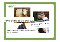 사회복지 윤리와 철학-5