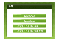 루이스 브뉘엘 리포트 <El perro del Andalucia>-2
