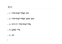 지역사회 복지 계획-2