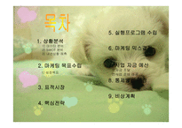 애견 헬스클럽 사업계획서-2