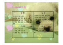애견 헬스클럽 사업계획서-4
