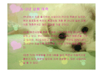 애견 헬스클럽 사업계획서-5