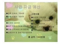 애견 헬스클럽 사업계획서-13