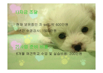 애견 헬스클럽 사업계획서-14