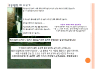 사이버 문화와 윤리 무책임 한정 보유 통-10