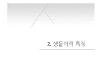 성인기의 발달단계별 특징 사회복지의 관심 영역-6