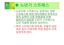 노인자살 보고서 노인복지론-12