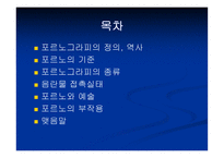 Pornography예술인 가외 설인가-2
