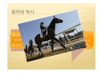 경마와 스포츠토토-9