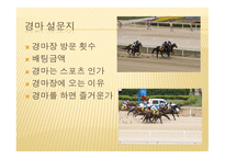 경마와 스포츠토토-12