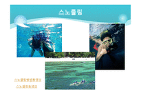 레저스포츠 관광 국내&해외-4