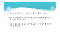 레저스포츠 관광 국내&해외-18