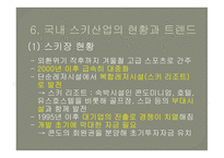 레저스포츠 스키장의 여가 제약요인-9