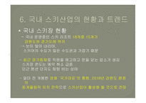 레저스포츠 스키장의 여가 제약요인-10