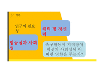 지적장애학생의 축구 활동 참여가 사회성에 미치는 영향-3