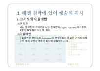 헤겔의 예술론 미학강의를 중심으로-5