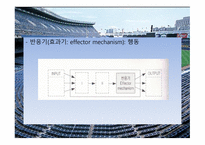 운동 기술의 학습-7