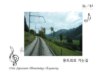 음악의 이해와 감상 몽트뢰 Montreux Jazz Festival-7