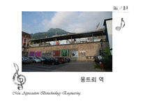 음악의 이해와 감상 몽트뢰 Montreux Jazz Festival-8
