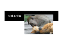 운동과 건강 응급처치-7