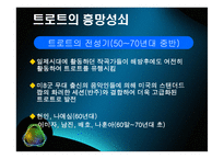 트로트 음악에 대한 시대적 흐름 및 현대적 해석-8
