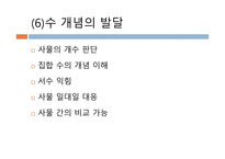 아동기 아동기 신체운동발달 아동기 인지발달 아동기 아동기 인지발달-17