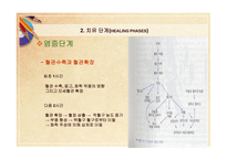 스포츠 재활 원리 치료의 개념-3