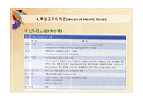 스포츠 재활 원리 치료의 개념-10
