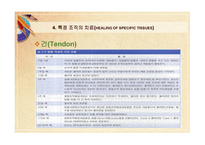 스포츠 재활 원리 치료의 개념-11