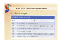 스포츠 재활 원리 치료의 개념-13