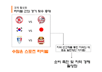 라이벌전의 재미와 감동을 통한 스포츠산업의 미래-12