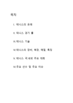 라켓스포츠 테니스 경기 룰-2