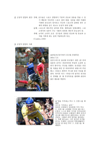 스포츠 와일 탈-3