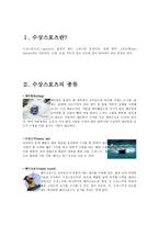 수상스포츠에 대하여-3