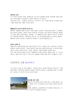 오스트리아 음악의 본고장에서 느끼는 클래식-5