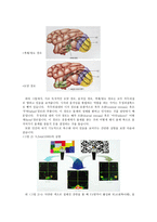 미술치료와 뇌과학 리포트-4